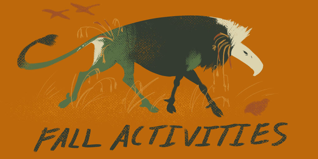 Irene&#39;s old design