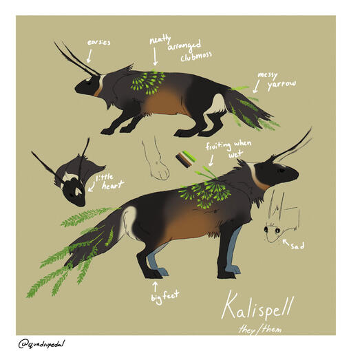 Kalispell&#39;s ML ref