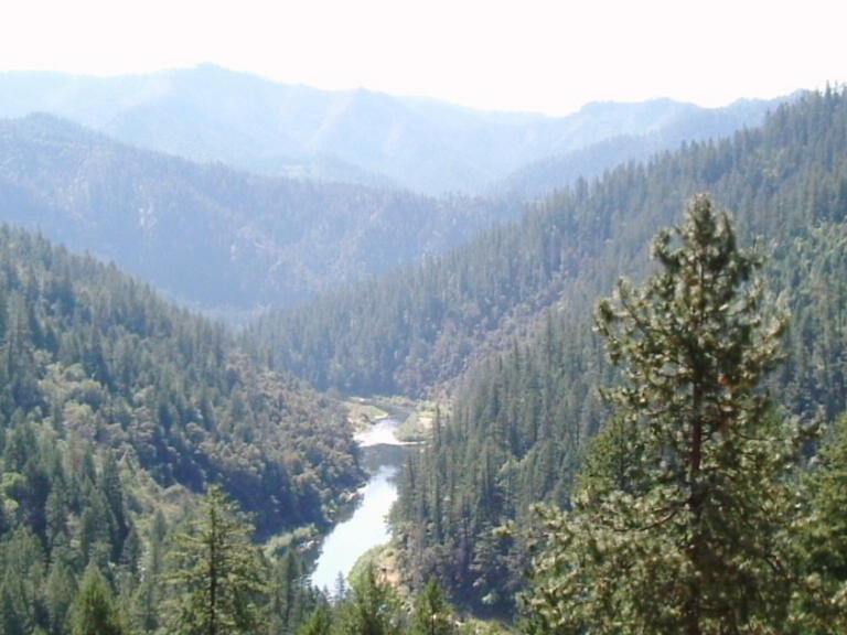 rolling hills dominate the frame. tall grasses and flowers are in the foreground. farmland rests in the background.